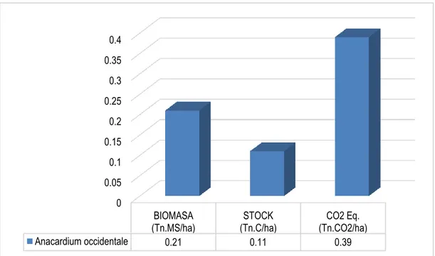 Gráfico 1: Valores Promedios de Biomasa, Stock de Carbono, y CO2 Equivalente, Anacardium  occidentale “Casho” 