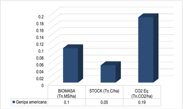 Gráfico 7: Valores Promedios de Biomasa, Stock de Carbono, y CO2 Equivalente, en Genipa  americana “Huito” 