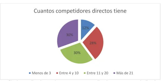 Ilustración 8. Competidores directos.