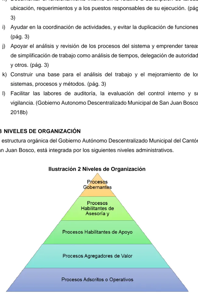 Ilustración 2 Niveles de Organización 