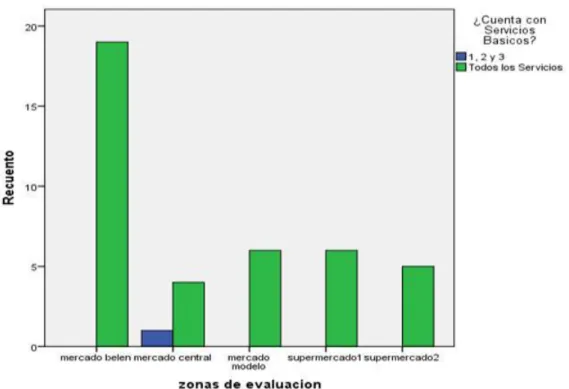Gráfico N° 04. Servicios básicos en el establecimiento 
