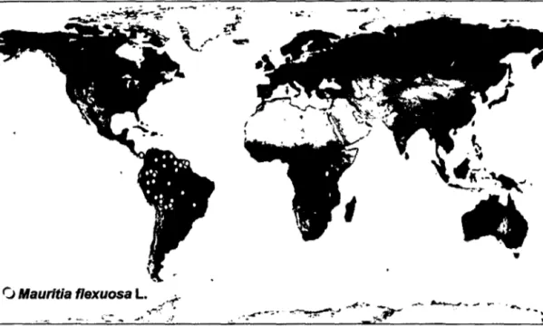 Figura 01.  Mapa  de distribución geográfica de Mauritia flexuosa  L.  f.  en el mundo 