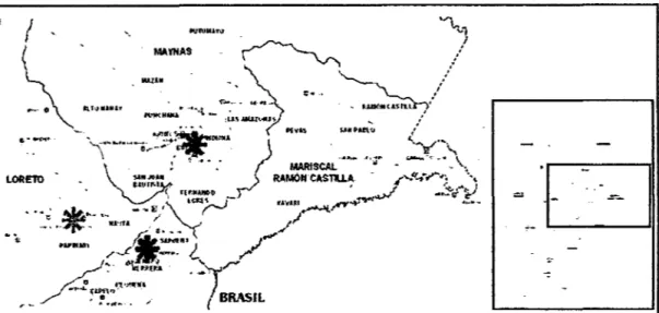 Figura 03.  Mapa de ubicación geográfica de las poblaciones naturales en  estudio  Quebrada  Aucayo  (río  Amazonas)•,  comunidad  Villa  Jenaro  Herrera  (río Ucayali)• y comunidad de Quebrada Parinari (río Marañón)• 