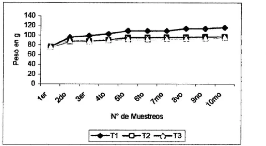 Figura N° 03. Crecimiento en Peso (g) del Megalobulimus maximus 