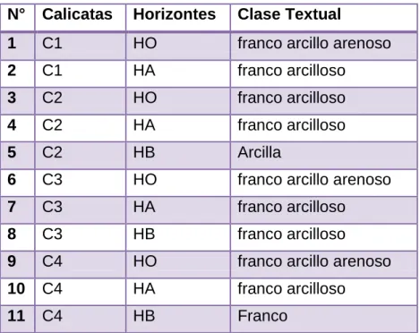 Cuadro 1.Clase textual por muestra  