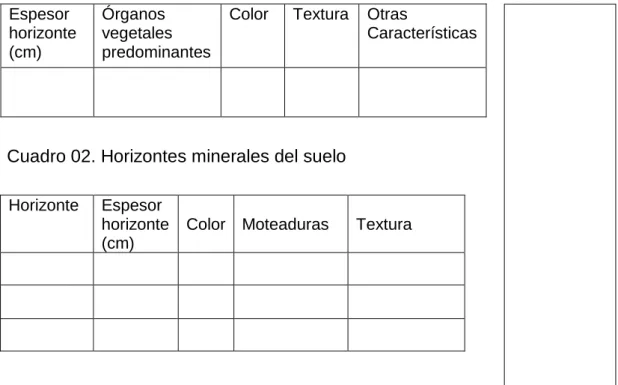 Cuadro 01. Horizontes orgánicos   GRAFICA-PERFIL 