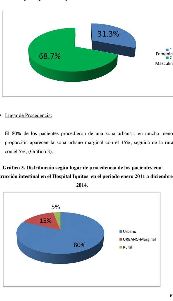 Gráfico 3. Distribución según lugar de procedencia de los pacientes con  obstrucción intestinal en el Hospital Iquitos  en el periodo enero 2011 a diciembre 