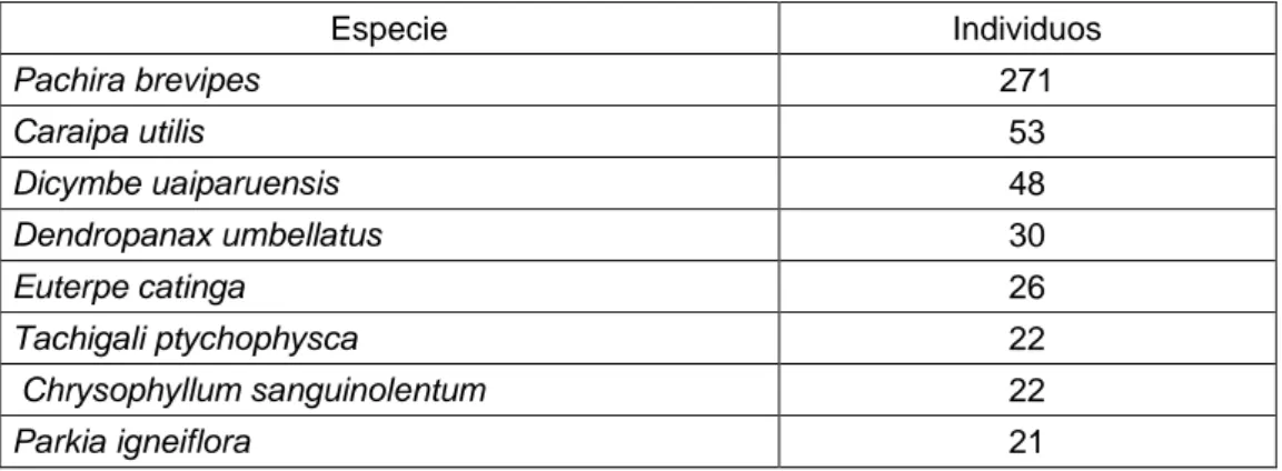 Tabla 04. Especies más abundantes en 16 parcelas sobre Varillales de 1.0 ha  con individuos ≥ 5 de DAP en Loreto, Perú .