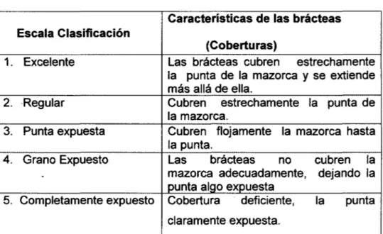 Cuadro N° 02.  Escala de clasificación de Cobertura de mazorca  Características de las brácteas  Escala Clasificación 