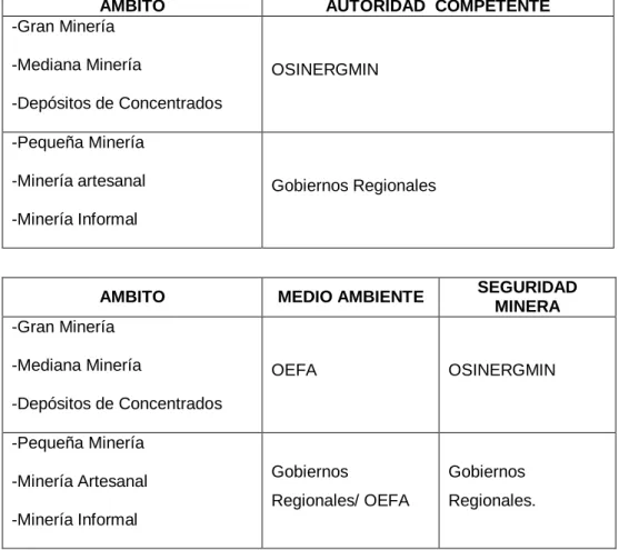 Tabla 2.1  Entidades Auditoras 
