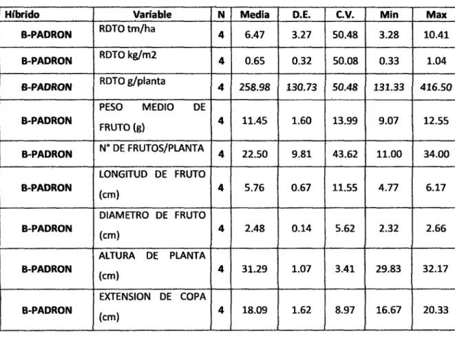 CUADRO  N°  07:  ESTADISTICA  DESCRIPTIVA  DEL  HffiRIDO  B  (PADRON): 