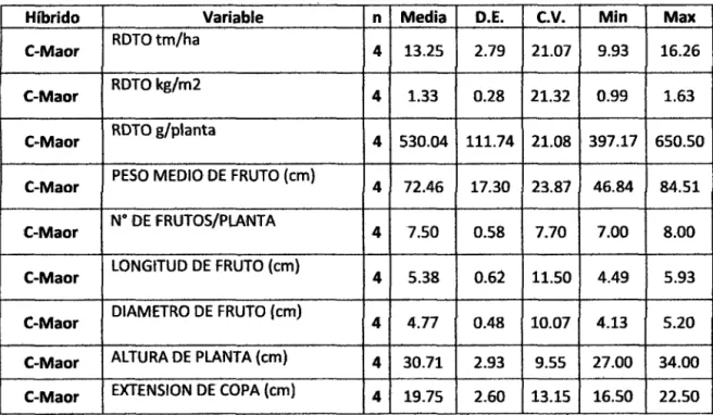 CUADRO  N°  08:  ESTADJSTICA  DESCRIPTIVA  DEL  HffiRIDO  C  (Maor): 