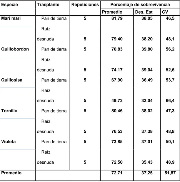 Cuadro  2.  Promedio,  desviación  estándar  y  coeficiente  de  variación  del  porcentaje  de  sobrevivencia  de  cinco  especies  forestales  agrupadas por modalidades de siembra