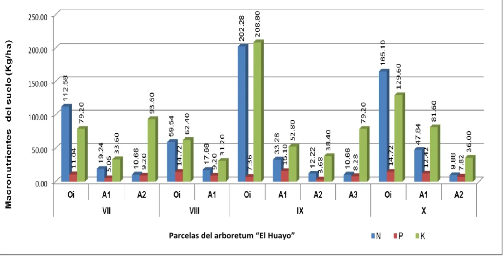 Figura 3.   Macronutrientes disponibles por horizontes del suelo en parcelas del arboretum “El Huayo” 