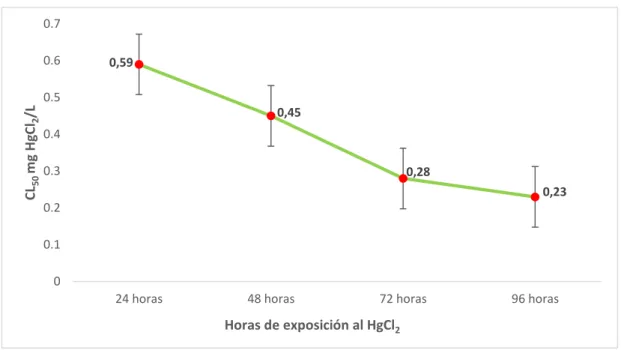Gráfico N° 03. Determinación de CL 50  por horas de exposición 