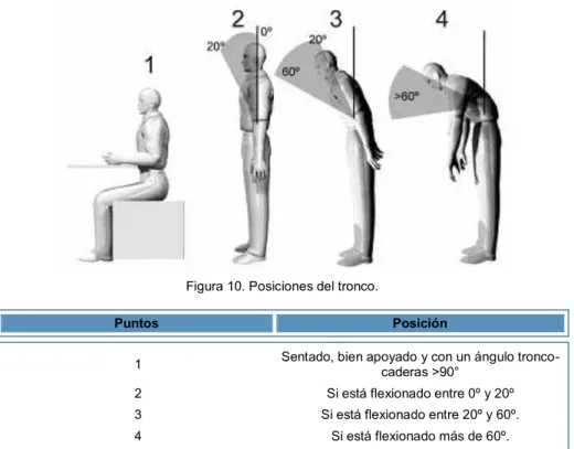 Tabla 10. Puntuación del tronco. 