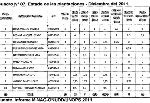 Cuadro N° 07: Estado  de  las plantaciones - Diciembre del 2011. 