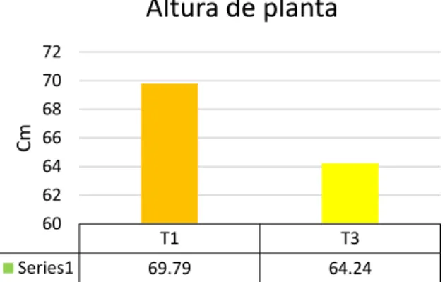 Gráfico N°01: 