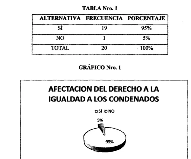 GRÁFICO Nro. 1 