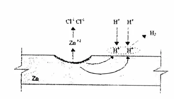 Fig.  1.4.1.1. Corrosión del zinc en HC1  diluido. 