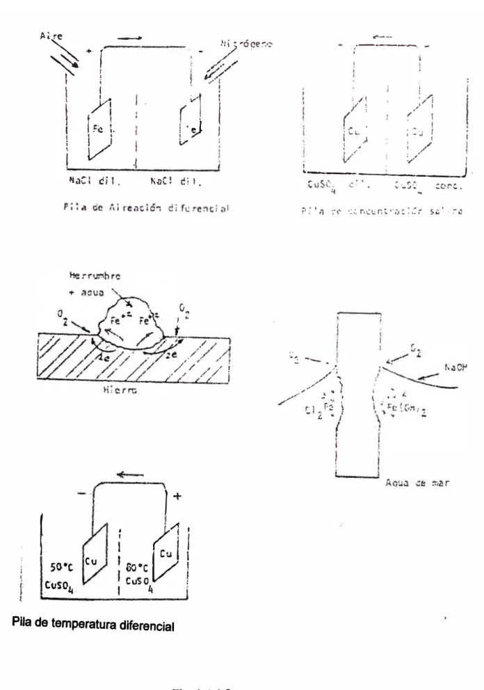 Fig. 1.4.1.2.  PILAS DE CORROSION. 