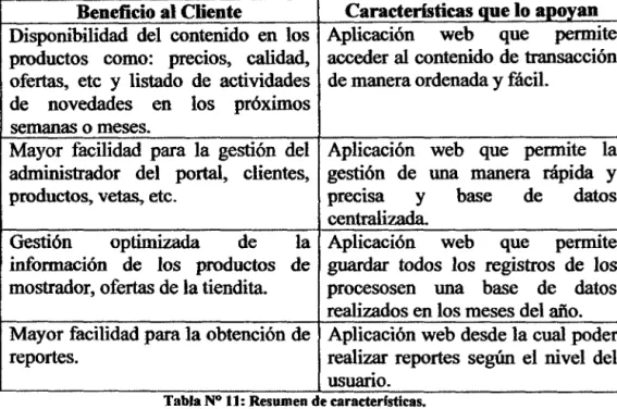 Tabla NO 11: Resumen de caracterfsticas. 