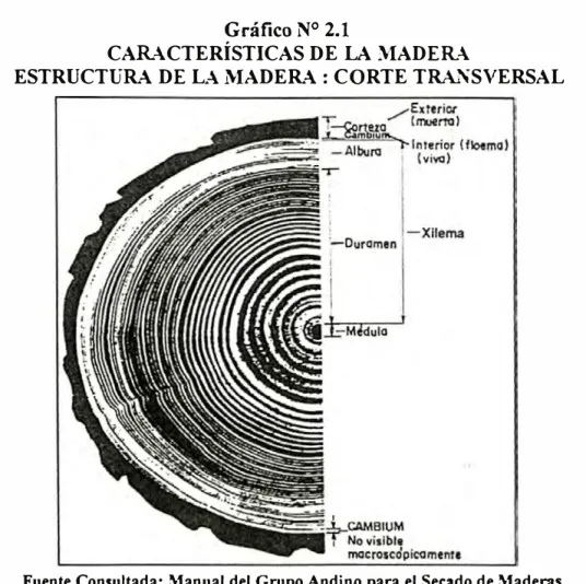 Gráfico N º  2.1 