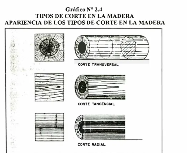 Gráfico N º  2.4 