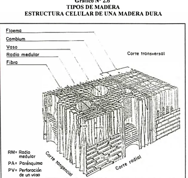 Gráfico N º  2.6  TIPOS DE MADERA 