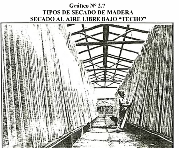 Gráfico N º  2. 7 