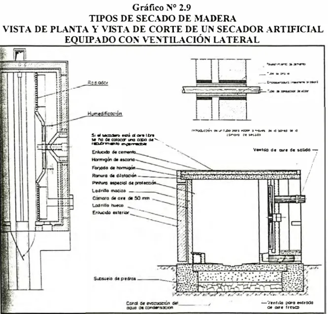 Gráfico N º  2.9 