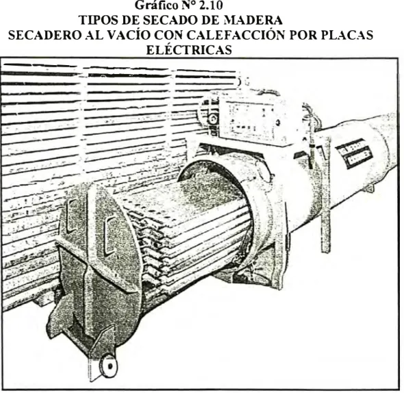 Gráfico N º  2.10 