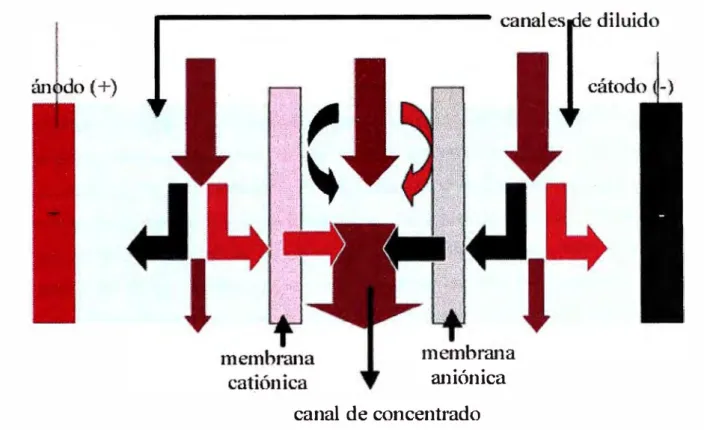 Figura 1.1  Esquema interno de un módulo de electrodiálisis 