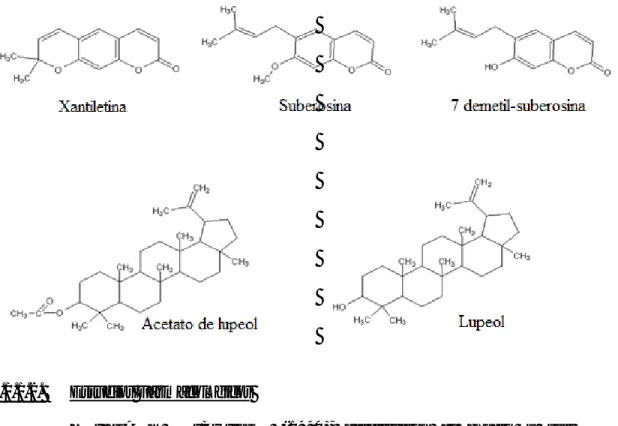 Figura N°05: Estructuras de compuestos aislados de Brosimum rubescens 