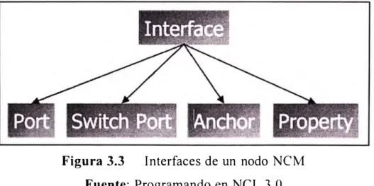 Figura 3.3  Interfaces de un nodo NCM  Fuente:  Programando en NCL 3.0 
