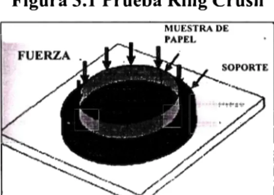 Figura 3.1 Prueba Ring Crush 
