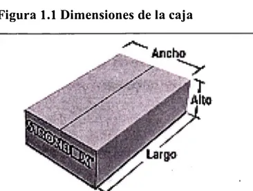 Figura 1.1 Dimensiones de la caja 