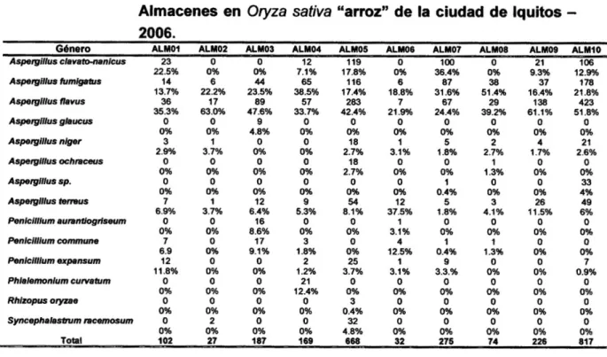 Cuadro N° 04. Frecuencia de aislamiento de tas especies de mohos por  Almacenes en Oryza sativa &#34;arroz&#34; de la ciudad de Iquitos  -2006