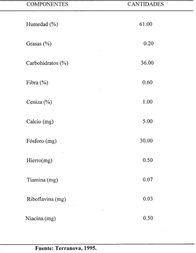 Cuadro N°  1: Composición química de la parte comestible del plátano en lOOg  COMPONENTES  CANTIDADES  Humedad(%)  61.00  Grasas(%)  0.20  Carbohidratos (%)  36.00  Fibra(%)  0.60  Ceniza(%)  1.00  Calcio (mg)  5.00  Fósforo (mg)  30.00  Hierro(mg)  0.50  