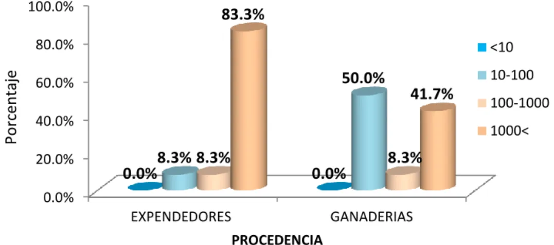 GRÁFICO N° 06 