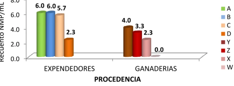 GRÁFICO N°08 