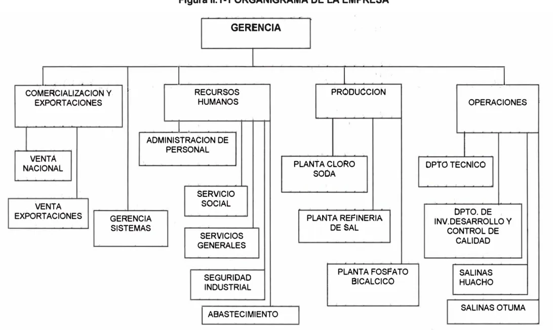 Figura 11.1-1 ORGANIGRAMA DE LA EMPRESA  GERENCIA 