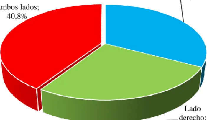 Gráfico N° 05: Tipo de Agenesia Según Lado en Pacientes  de 12 a 18 años que acuden al Centro Radiológico 