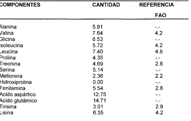 Tabla  2.  Contenido  de  aminoácidos  (g/1 00  g  de  proteínas)  en  los  rizomas  de  Ca/athea  allouia  (dale  dale)  y  relación  a  la  referencia de proteínas de la  FAO (Martín  y  Cabanillas  1976) 