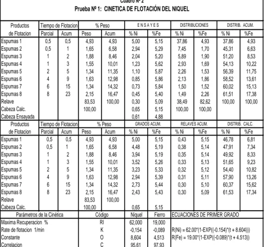 Tabla N°3.13: Prueba Nro. 1 -  cinética de flotación del Ni 