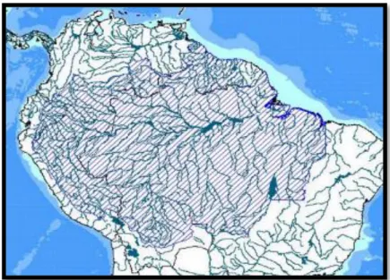 Fig. 05: Amazonia cuenca hidrográfica y como Selva Húmeda Tropical. 
