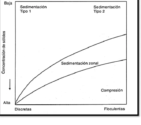 Fig. 12: Diagrama Paragenético. 