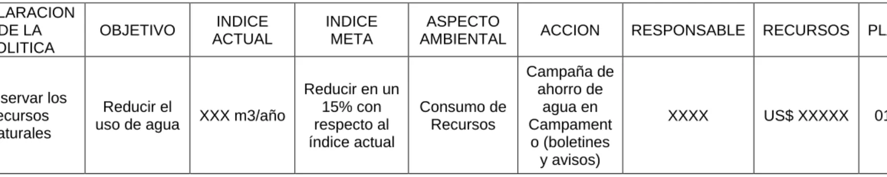 TABLA 8: PROGRAMA AMBIENTAL 
