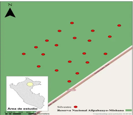 Figura 7. Puntos de muestreo en el bosque de varillal 