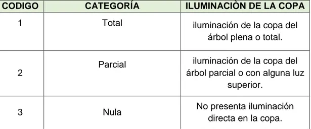 Cuadro 4: Códigos utilizados para calificar la exposición de la copa de los arboles  a la luz (Sabogal et al